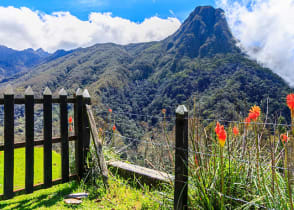 Cocora Valley in Colombia