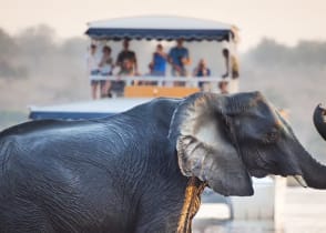 Tourists of safari watching an elephant cross the river in Chobe National Park, Botswana