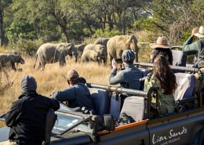 Game drive in Lion Sands Game Reserve, South Africa