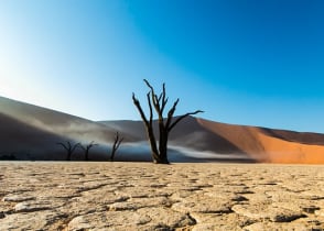 Deadvlei in Southern Namibia