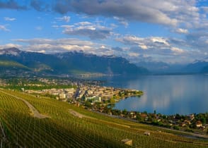 Vineyards near Lausanne on Lake Geneva, Switzerland