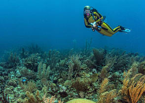 Scuba diving the Great Blue Hole in Belize