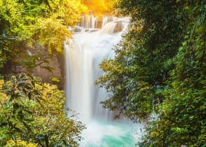 Khao Yai National Park, Thailand