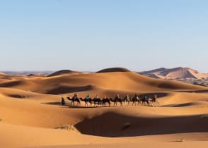 Camel ride through the Moroccan desert sand dunes