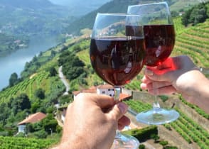 Vineyards in Douro Valley, Portugal