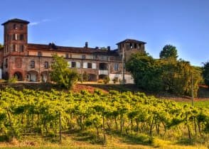 A villa and vineyard in Piedmont, Northern Italy