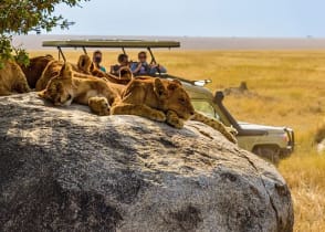 Serengeti and Selous Safaris: Contrasts of Tanzania’s Diverse Wildlife