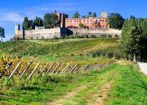 Vineyard and winery in the Chianti region of Tuscany, Italy