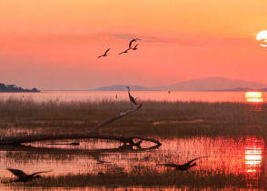 Matusadona National Park, Zimbabwe