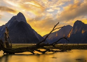 Milford Sound at sunset in New Zealand