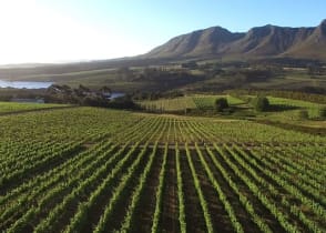 Cape to Kruger: Classic Winelands, Cape Town & Sabi Sands Safari