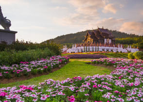 Pink flower gardens with Hor Khum Luang Temple at Royal Park Rajapruek in Chiang Mai, Thailand.