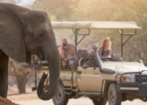 Safari at Mana Pools National Park in Zimbabwe