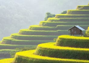 Sapa valley at sunset in Vietnam 