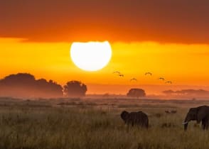 Amboseli National Park, Kenya