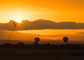 Hot air balloons drifting over the Masai Mara Savannah at dawn 