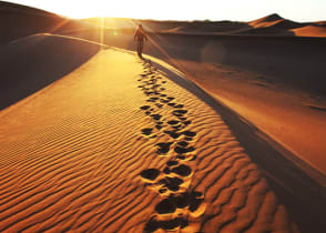 Footprints in Namib Desert, Namibia