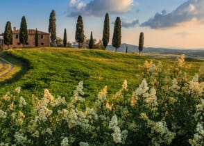 House surrounded by green fields and cypress trees in Tuscany, Italy