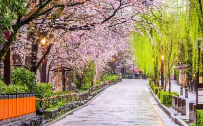 Spring Tours in Kyoto: Sakura & Secrets