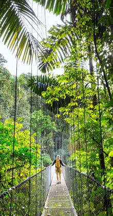 Person walking on suspension bridge through lush tropical rainforest canopy.