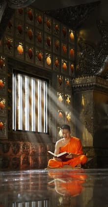 Monk reads sacred text in ornate temple with sunlight streaming.