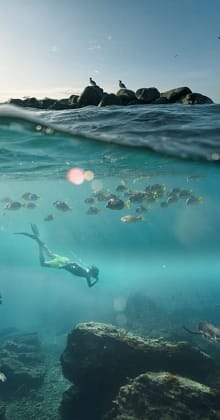 Snorkeler swims with fish in clear blue ocean water.