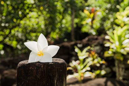 Best Time to Visit Tahiti - Zicasso