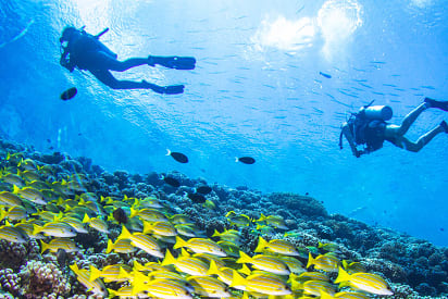 Best Time to Visit Bora Bora - Zicasso