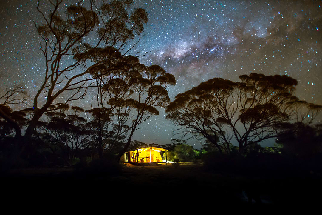 A luxury glamping tent illuminated from within at night under a vast, star-filled Milky Way sky in the Australian bush.