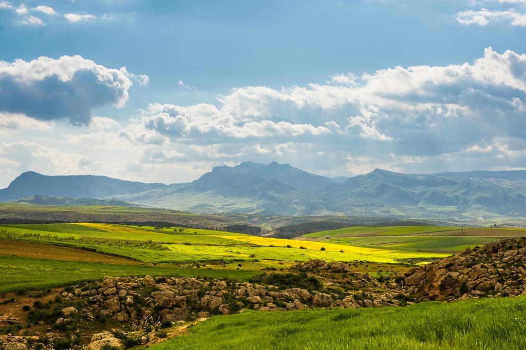 Green slopes of Ifrane in the Middle Atlas mountains, morocco