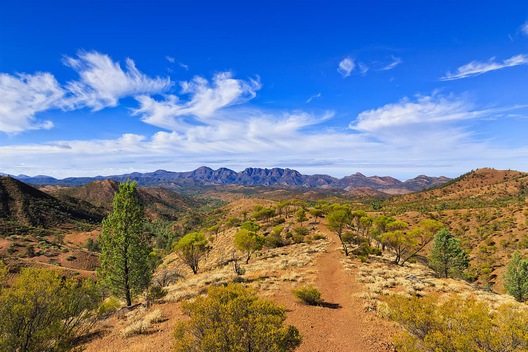 Mawson trail view of Wilpena Pound mountain formation in Flinders Ranges National Park, Australia