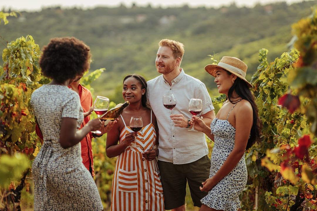 Wine tasting in Marlborough