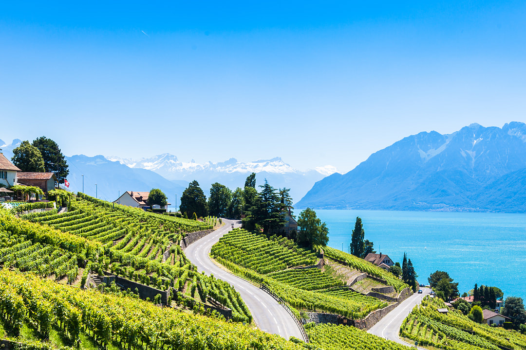 Winery and vineyards in Valais, Switzerland