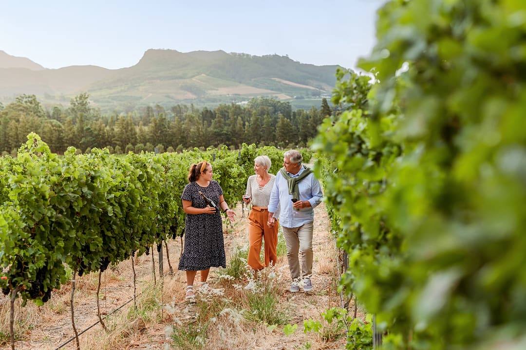 Senior couple touring vineyards in South Africa