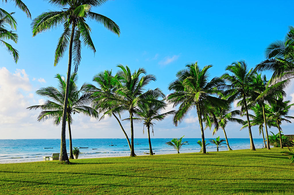 Diani beach, south of Mombasa, Kenya