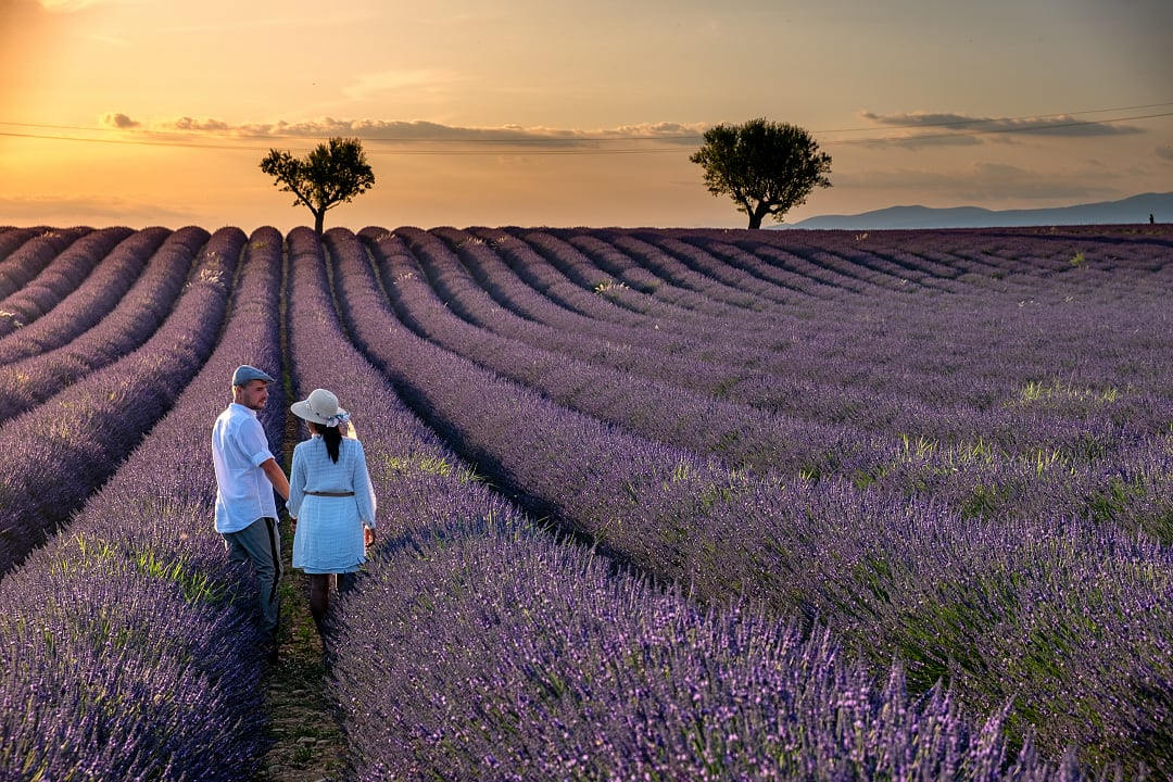 Couple at lavender field in Provence, France