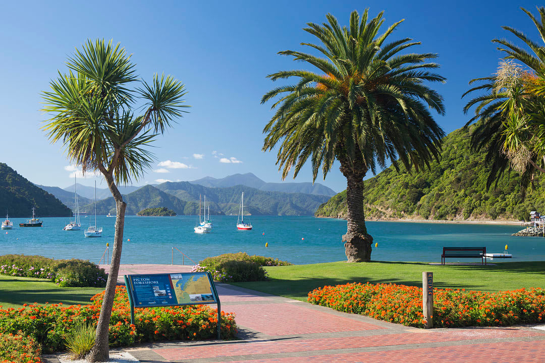 Marlborouh, New Zealand