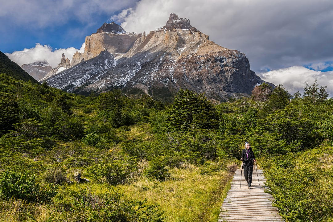 Hiker walking on a wooden trail surrounded by lush greenery and dramatic peaks in Torres del Paine, Chile