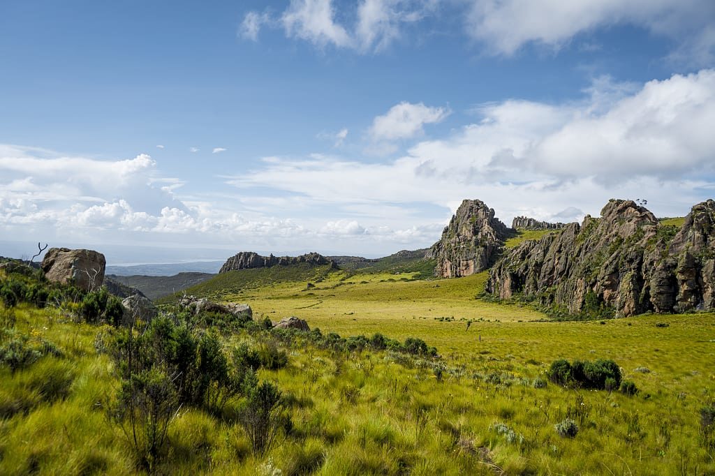 Landscape of Aberdare National Park