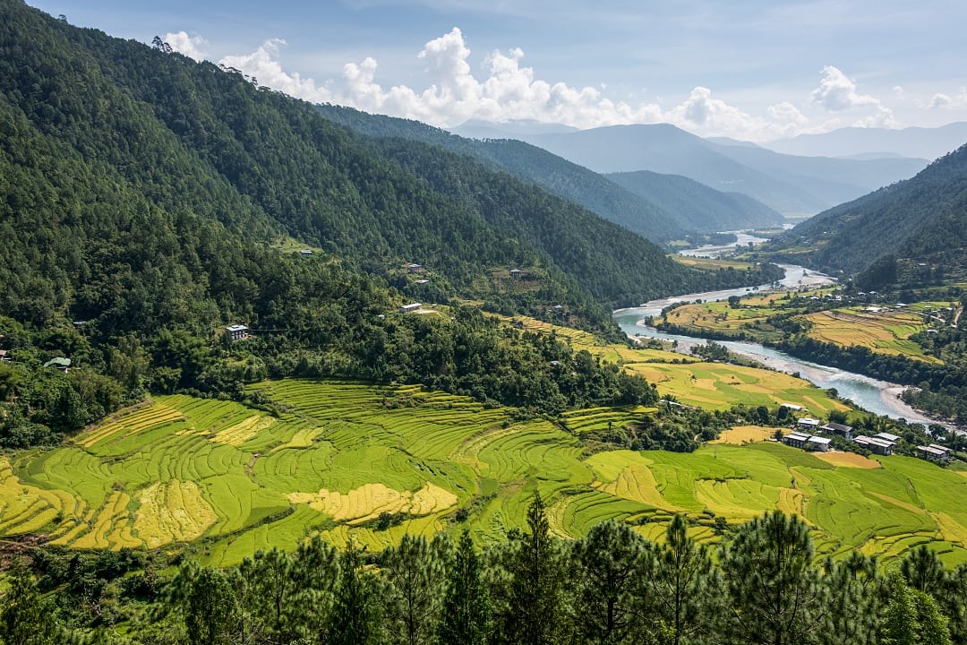 Scenic view of lush green terraced fields and a winding river in Punakha Valley, Bhutan, surrounded by hills