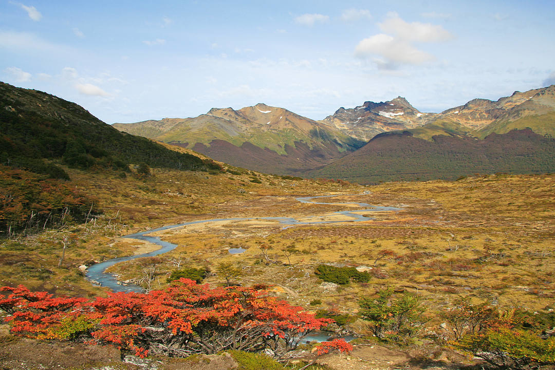 Tierra del Fuego National Park, Ushuaia, Argentina. 