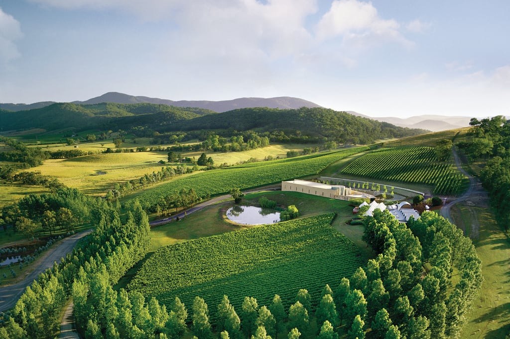 TarraWarra Estate vineyards in the Yarra Valley, Victoria, Australia. Photo courtesy TarraWarra Estate