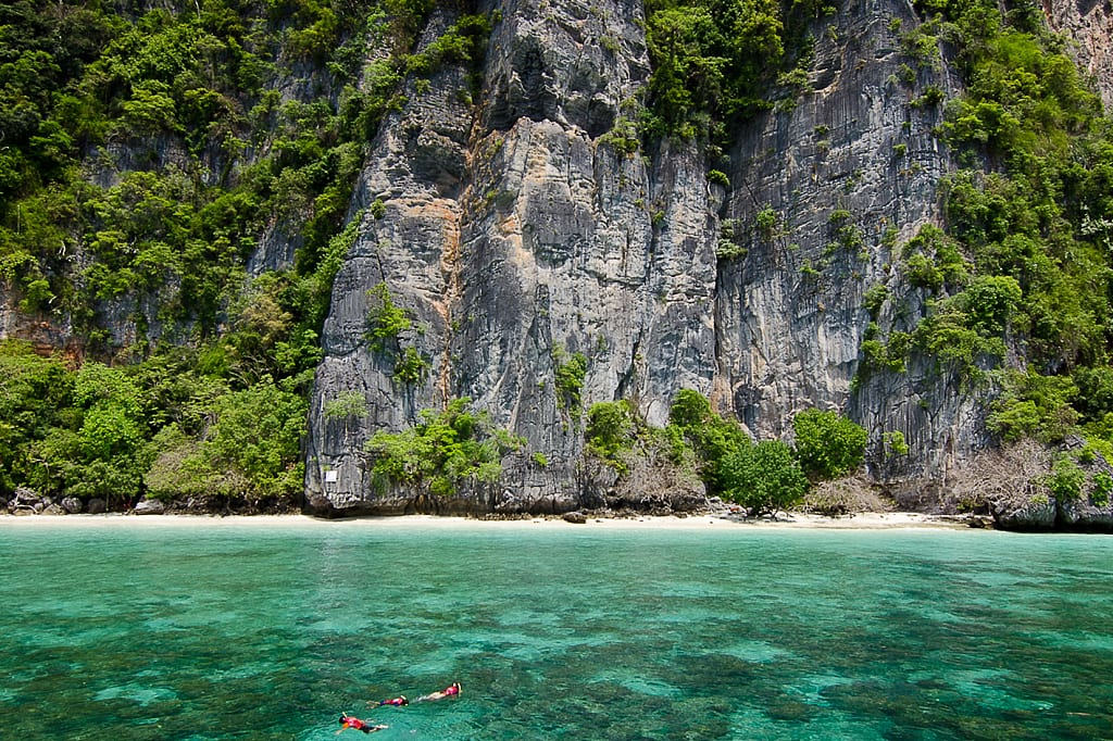 Snorkeling in the Phi Phi island, Thailand