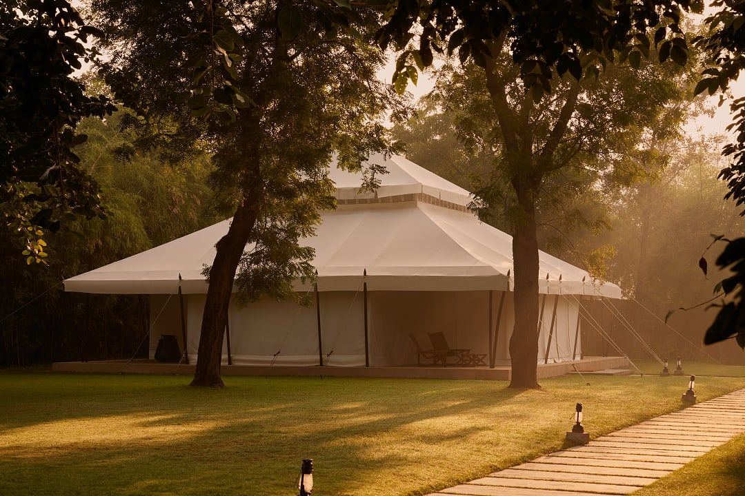Luxury safari tent nestled in a serene forest setting with morning sunlight filtering through the trees