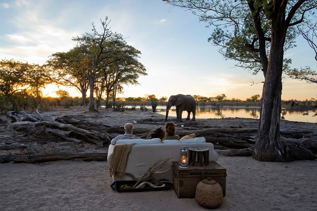 A couple relaxes at sunset, watching elephants by the water.