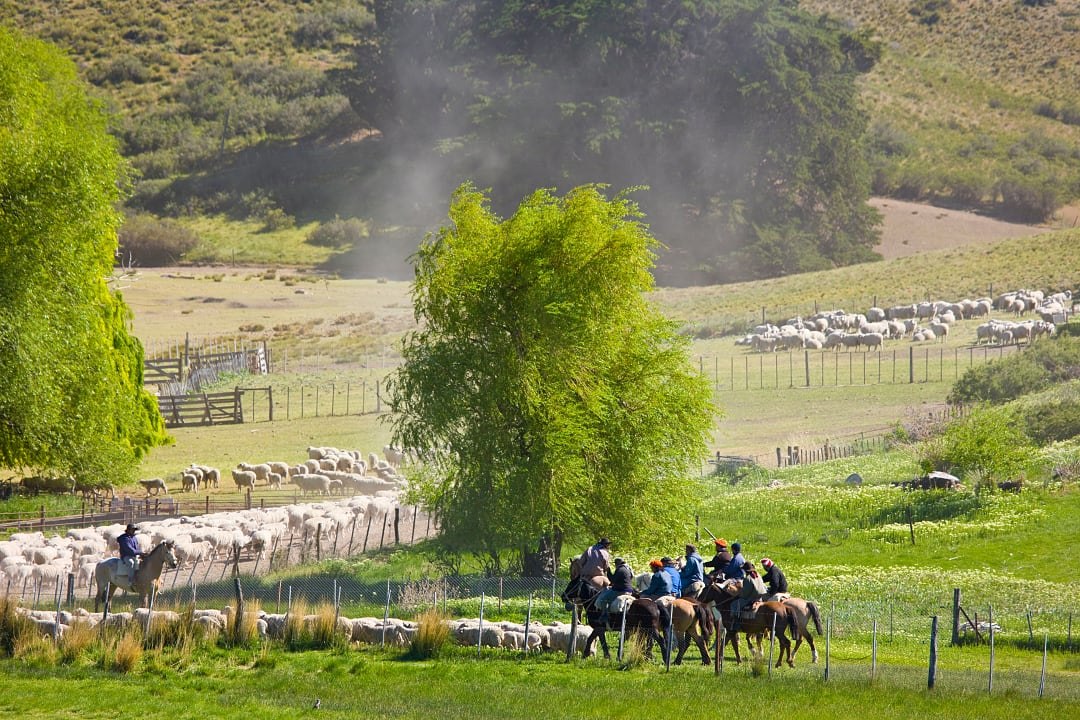 Gauchos at Estancia Patagonica in Argentina