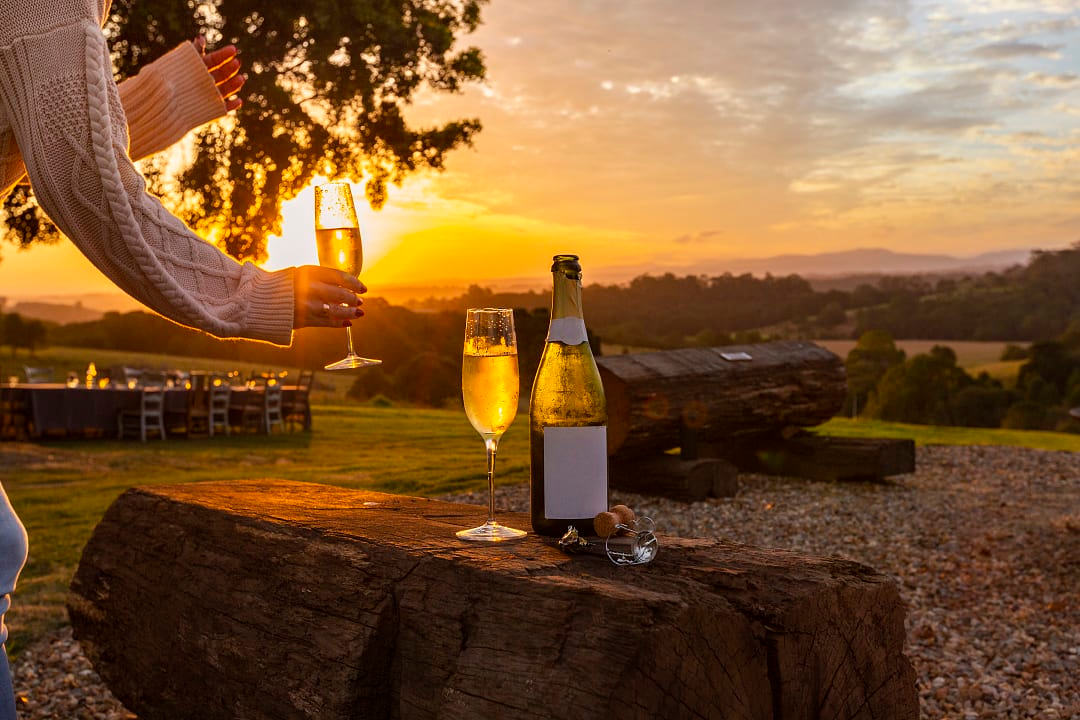 Vineyard in Byron Shire, New South Wales, Australia