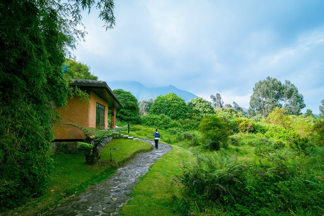 The foot of the Volcanoes National Park in Rwanda