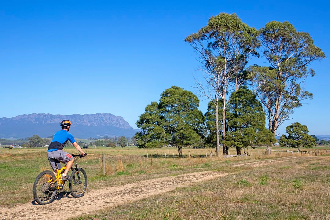 Biker on the Tasmanian Trail in Sheffield, Australia