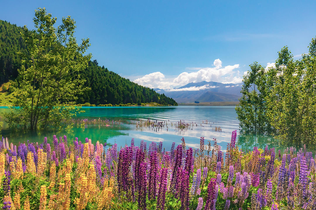 Lake Tekapo, New Zealand